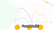 Forex Nedir?