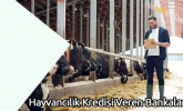 Hayvancılık Kredisi Veren Bankalar