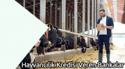 Hayvancılık Kredisi Veren Bankalar