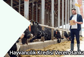 Hayvancılık Kredisi Veren Bankalar