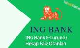 ING Bank E-Turuncu Hesap Faiz Oranları