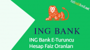 ING Bank E-Turuncu Hesap Faiz Oranları