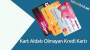 Kart Aidatı Olmayan Kredi Kartı