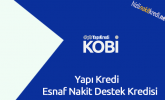 Yapı Kredi Esnaf Nakit Destek Kredisi